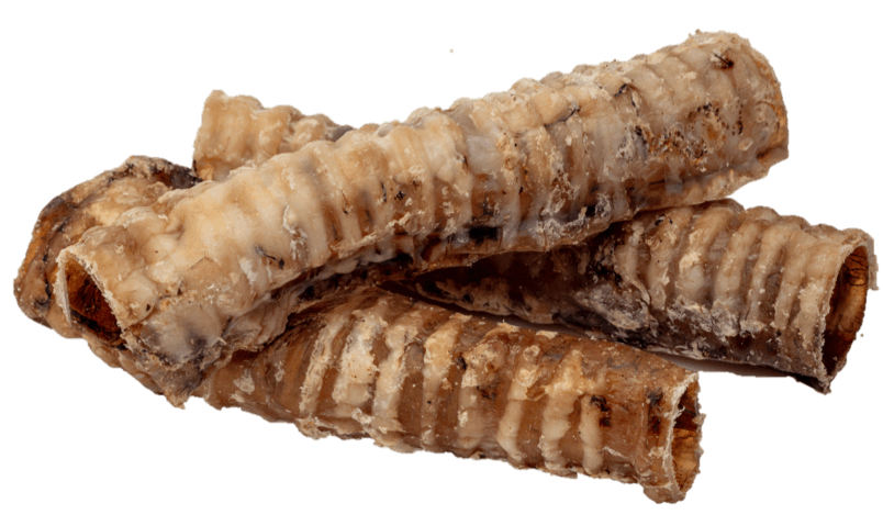 Whole Beef Trachea Dog Chew - Happy Paws Pantry
