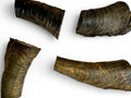 Natural Goat Horn Dog Chew - Happy Paws Pantry