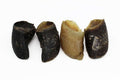 Natural Beef Hoof Dog Chew - Happy Paws Pantry