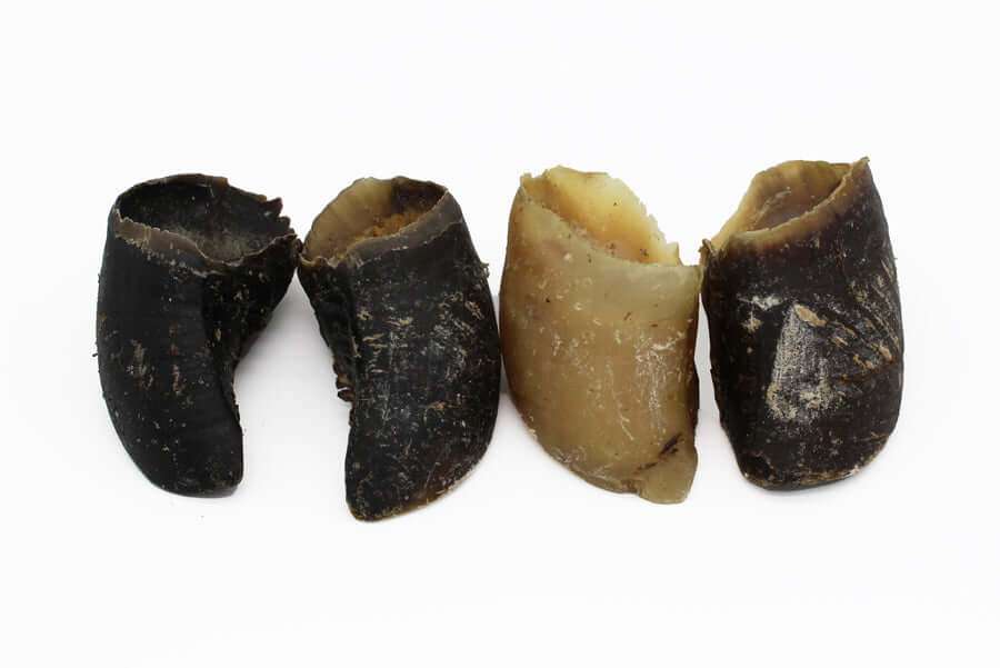 Natural Beef Hoof Dog Chew - Happy Paws Pantry