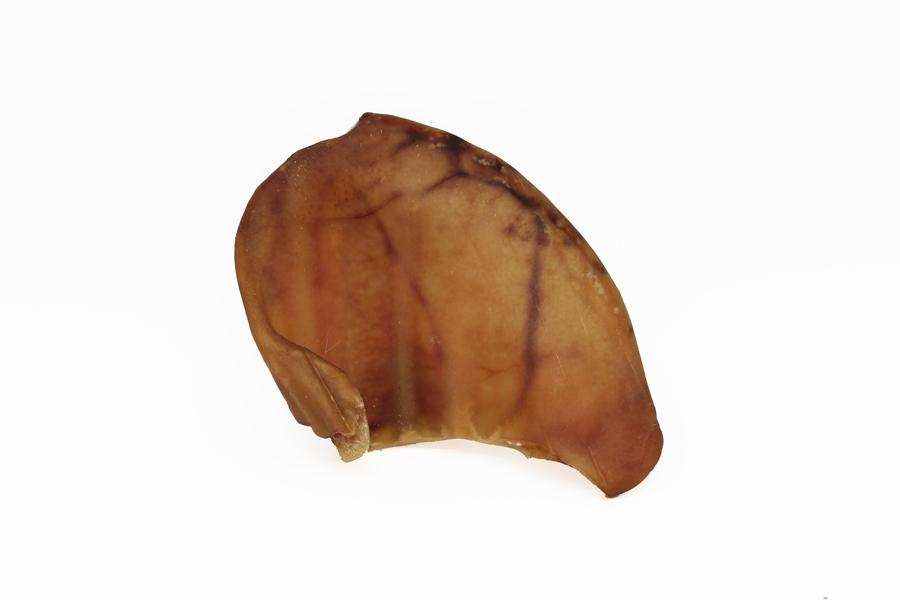 Single dried pig ear dog chew treat on white background